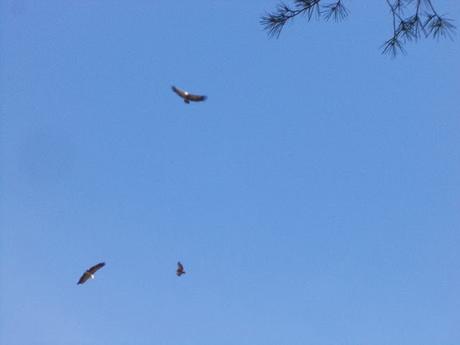 Excursion a la Ermita de San Cristobal en Alcoi