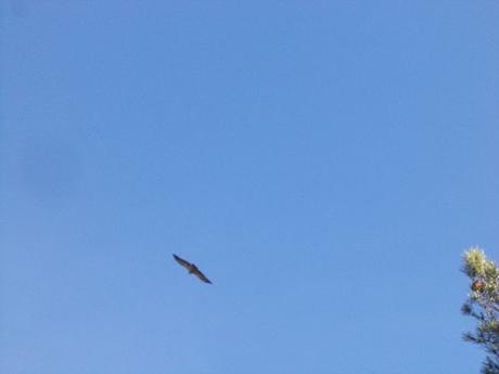 Excursion a la Ermita de San Cristobal en Alcoi
