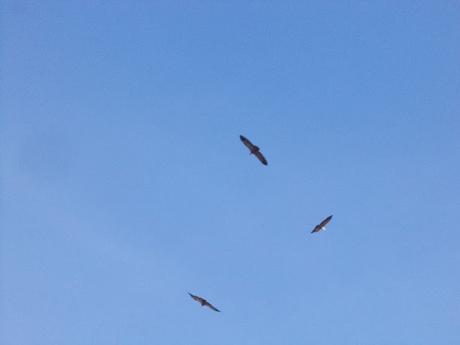 Excursion a la Ermita de San Cristobal en Alcoi