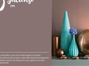 Octubre: Interiores Marrón Incienso