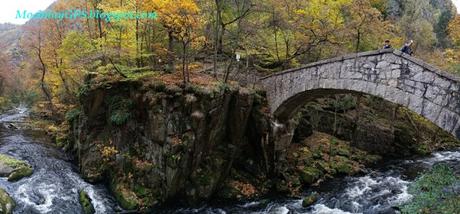 Parque Nacional Harz, Wernigerode, Quedlinburg y el Muro del Diablo (Alemania)