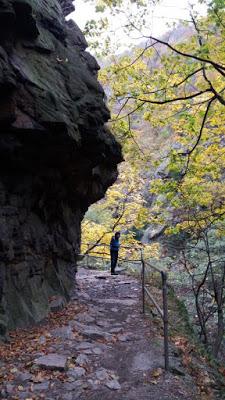 Parque Nacional Harz, Wernigerode, Quedlinburg y el Muro del Diablo (Alemania)