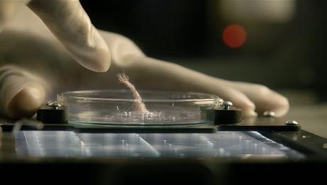 Life (2017), el séptimo pasajero