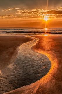 VAN PASANDO LOS DÍAS...