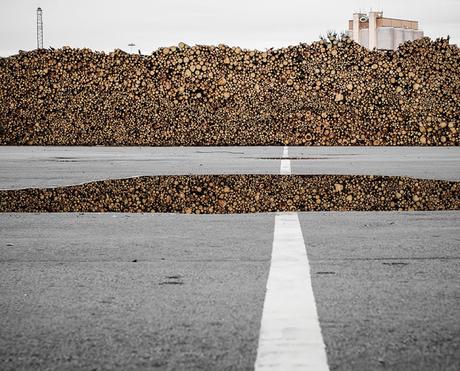 10 Fotos increíbles que parecen mentira que sean reales