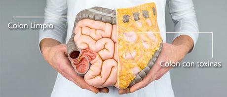 Dieta para despues de limpieza de colon