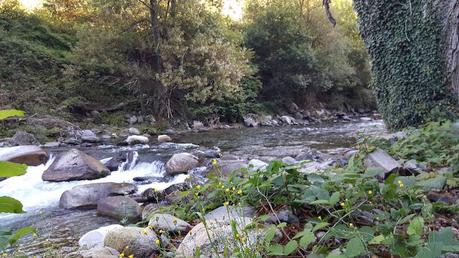 CAMPING VERNEDA EN LA VALL D’ARAN