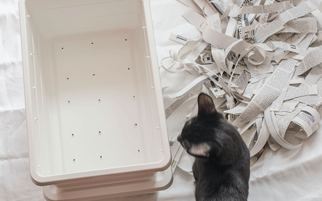 Vermicompostaje doméstico | Guía paso a paso