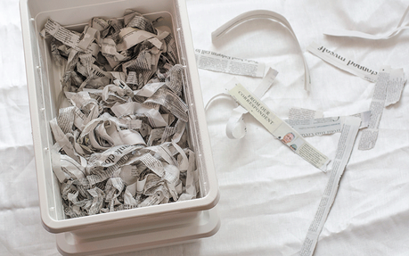 Vermicompostaje doméstico | Guía paso a paso