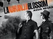 Naranja Blossom estrena videoclip para Guillotina