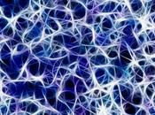 Neurocientíficos mejoran memoria humana mediante estimulación eléctrica