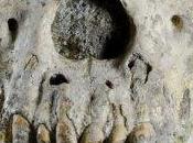 mirada primeros europeos