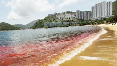 marea roja entre los top 10 fenómenos naturales mas increíbles 