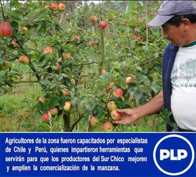 Durante I Congreso Internacional del Cultivo de manzana: GORE LIMA PROMUEVE INTERCAMBIO DE EXPERIENCIAS DE INNOVACIÓN TECNOLÓGICA EN CAÑETE…