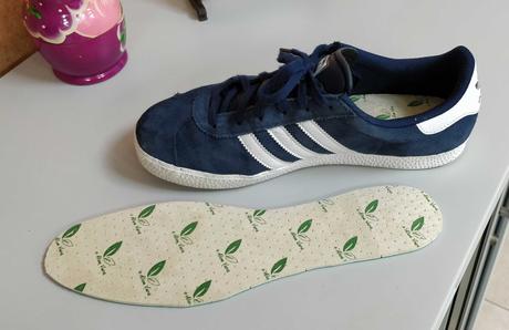 Veganismo un nuevo estilo de vida sostenible