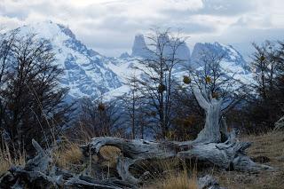 LLEGAMOS A LA PATAGONIA