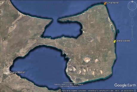 La tarde de los petreles