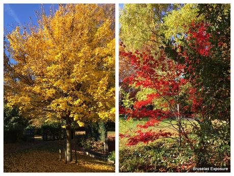 Jardin Jean-Félix Hap