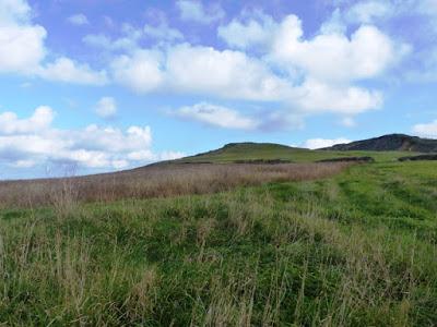 Los palustres, otra temporada