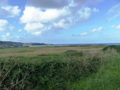 Los palustres, otra temporada