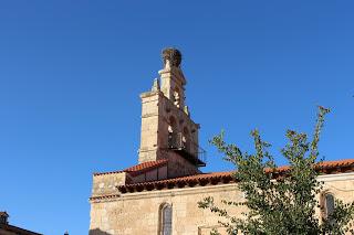 Santa Cruz de la Salceda