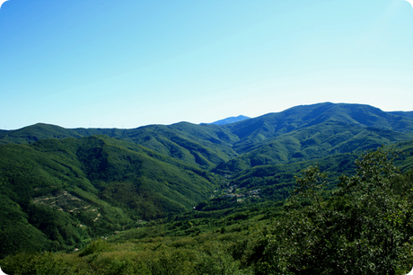 Bormida, la historia de un pueblo cuyo intendente paga 2.000 euros por cada nuevo residente. Bormida, la historia de un pueblo cuyo intendente paga 2.000 euros por cada nuevo residente.