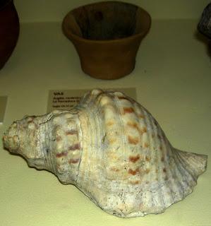 Algunas cerámicas ibéricas de Tarragona: la Moleta del Remei y Sant Jaume-Mas d´En Serrà.