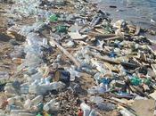empresas culpables gran parte plástico océanos