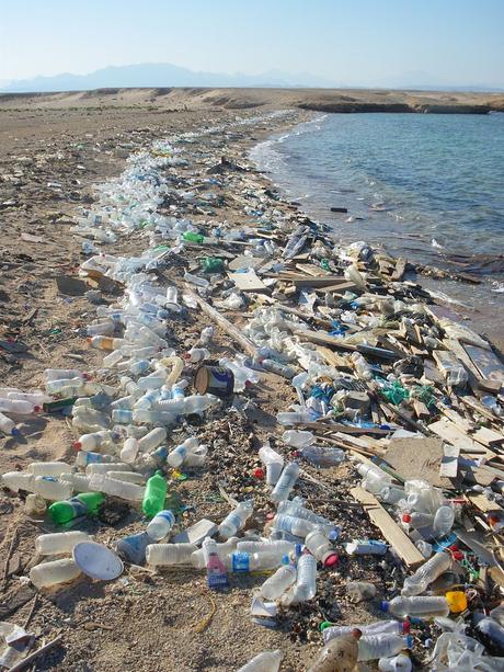 10 empresas culpables de gran parte del plástico en los océanos