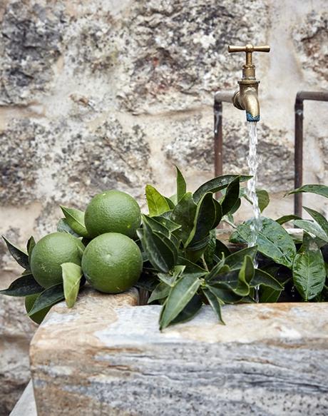 Paz y calma reflejada en una vivienda de Mallorca