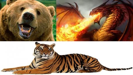 Oso, Tigre y Dragón en la empresa