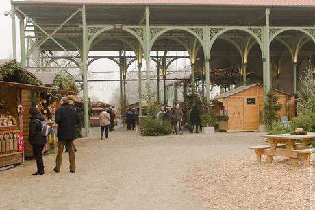  Alsacia Mercado Navidad Obernai