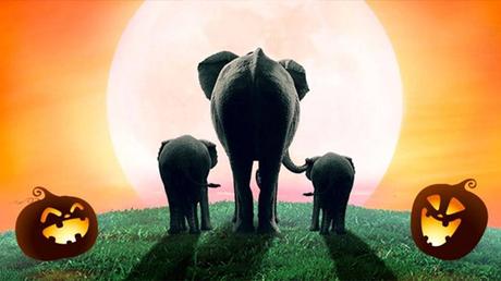 Planes Especiales: 31 y 1 Noviembre 2017 en Madrid