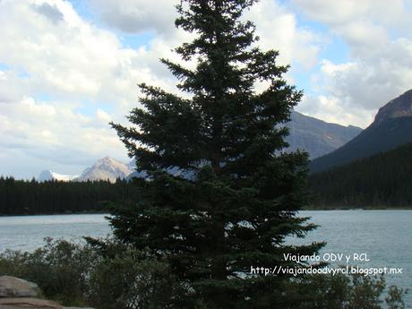 Ice fields Parkway. Canadian Rockies. Viajando ODV y RCL  http://viajandoodvyrcl.blogspot.mx