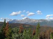 Icefields parkway