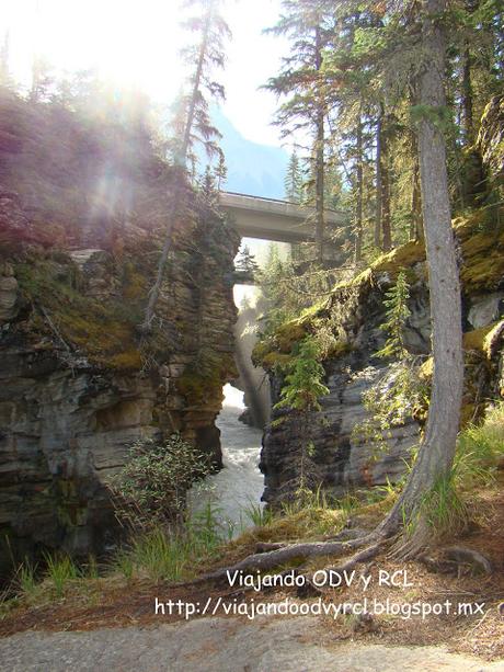 Ice fields Parkway. Canadian Rockies. Viajando ODV y RCL  http://viajandoodvyrcl.blogspot.mx