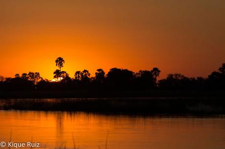 África, sueño contigo