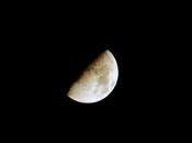 Luna Booo!