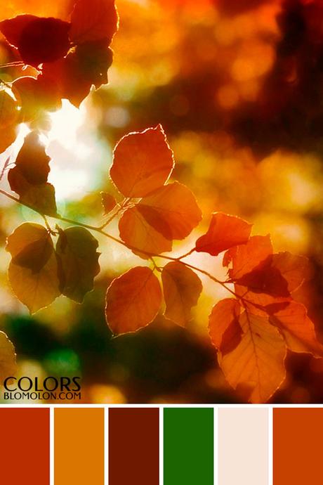 Paletas De Colores 19 Variedad De Temporada