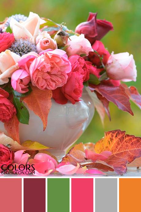 Paletas De Colores 19 Variedad De Temporada