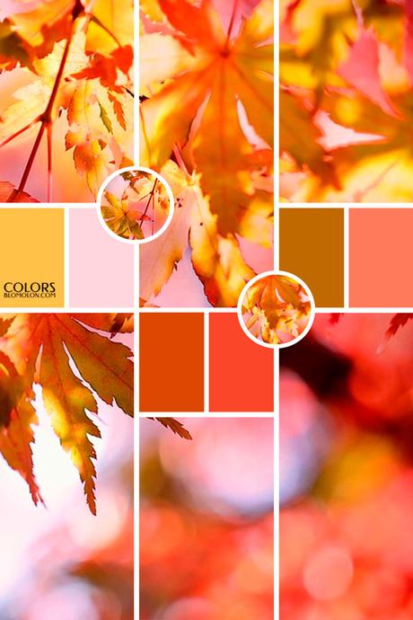 Paletas De Colores 19 Variedad De Temporada