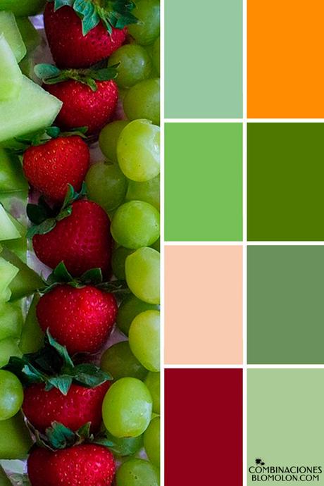 Paletas De Colores 19 Variedad De Temporada