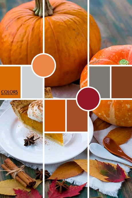 Paletas De Colores 19 Variedad De Temporada