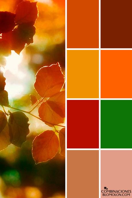 Paletas De Colores 19 Variedad De Temporada