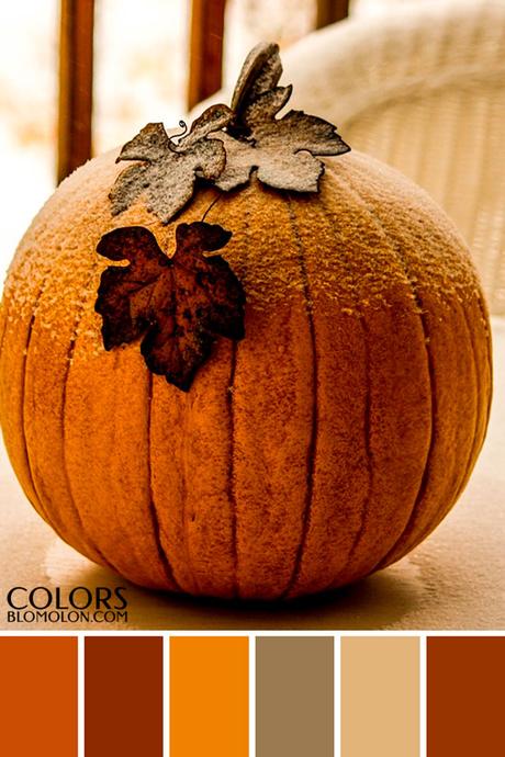 Paletas De Colores 19 Variedad De Temporada