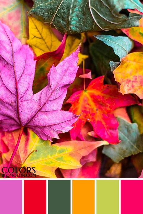 Paletas De Colores 19 Variedad De Temporada