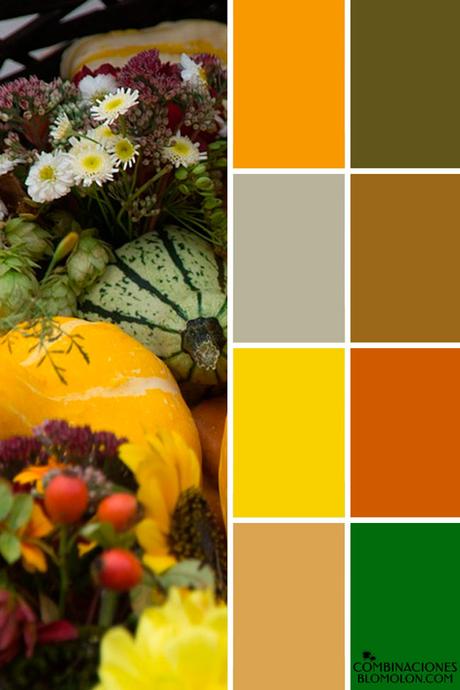 Paletas De Colores 19 Variedad De Temporada