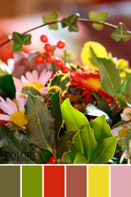 Paletas De Colores 19 Variedad De Temporada