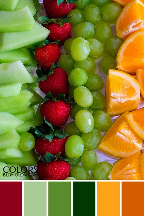 Paletas De Colores 19 Variedad De Temporada