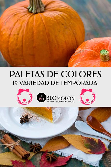 Paletas De Colores 19 Variedad De Temporada